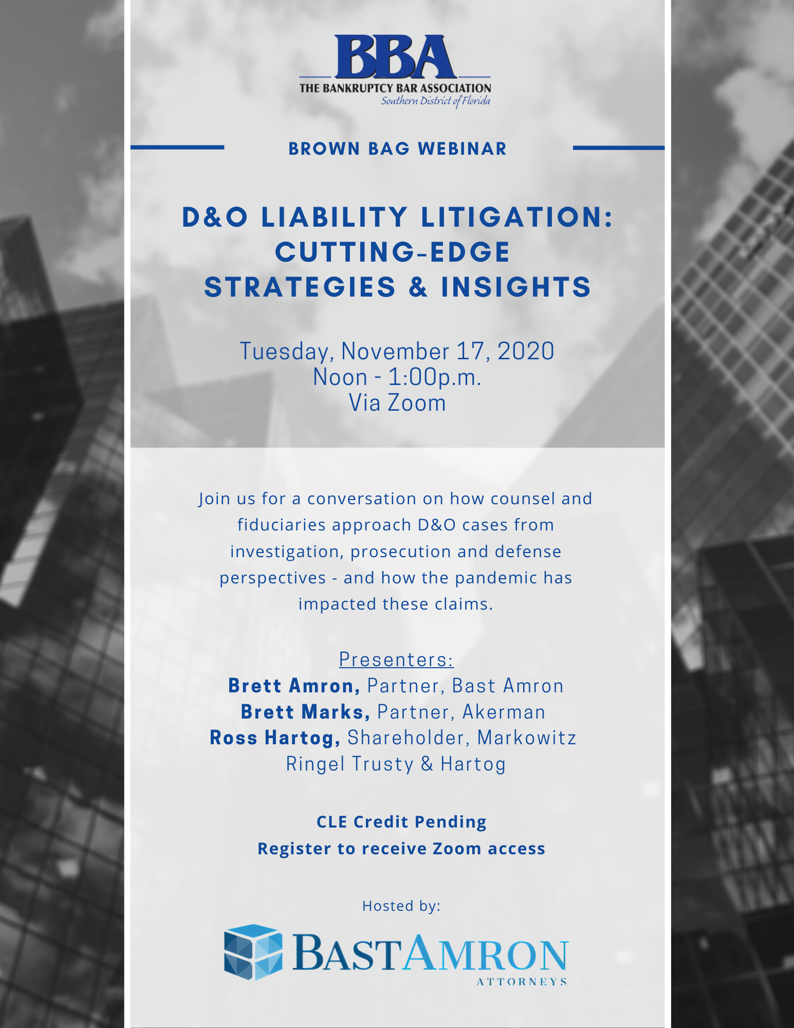 Brown Bag Webinar: D&O Liability Litigation: Cutting-Edge Strategies & Insights